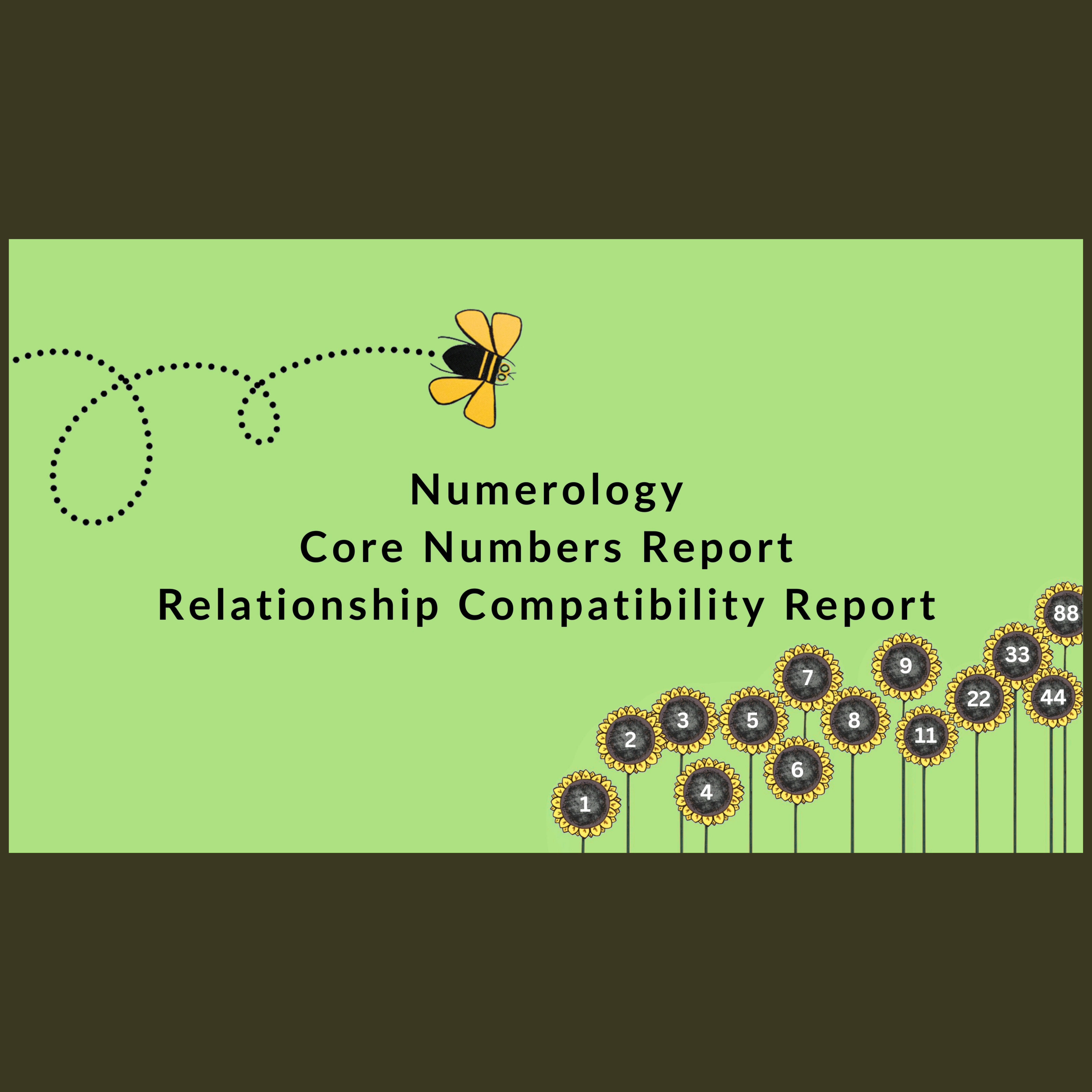 Numerology | Core Numbers Report. – Bee Prezent