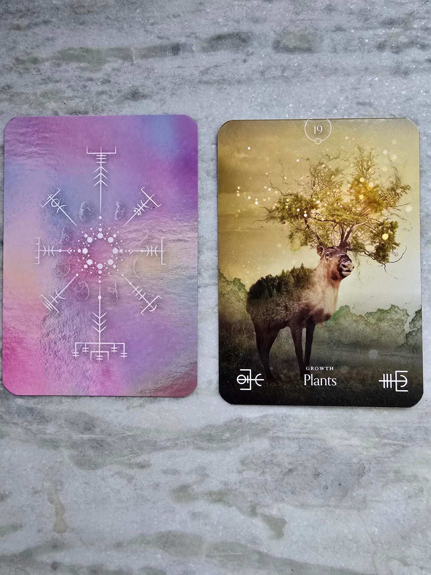 The Elemental Oracle