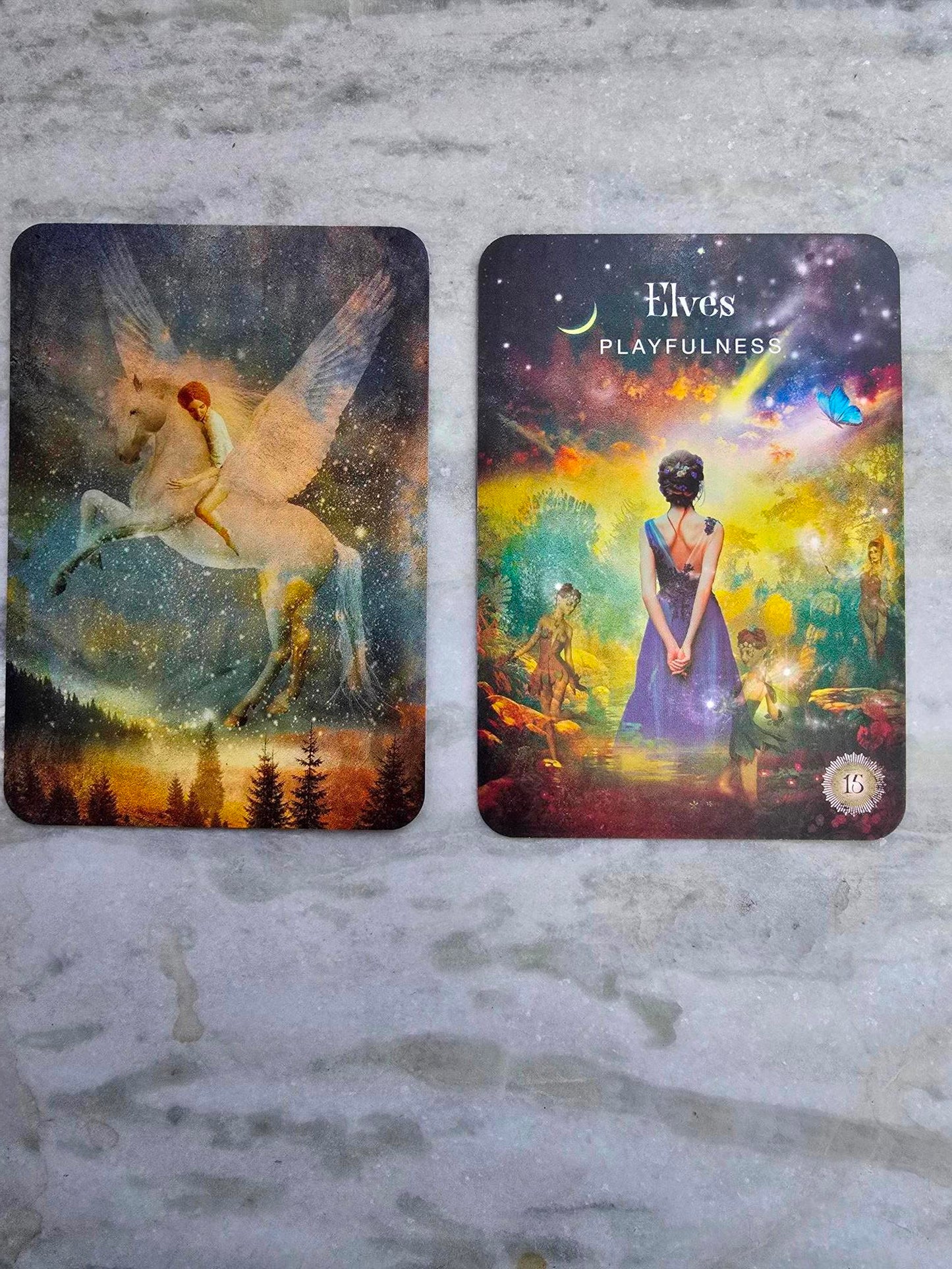 The Sacred Forest Oracle