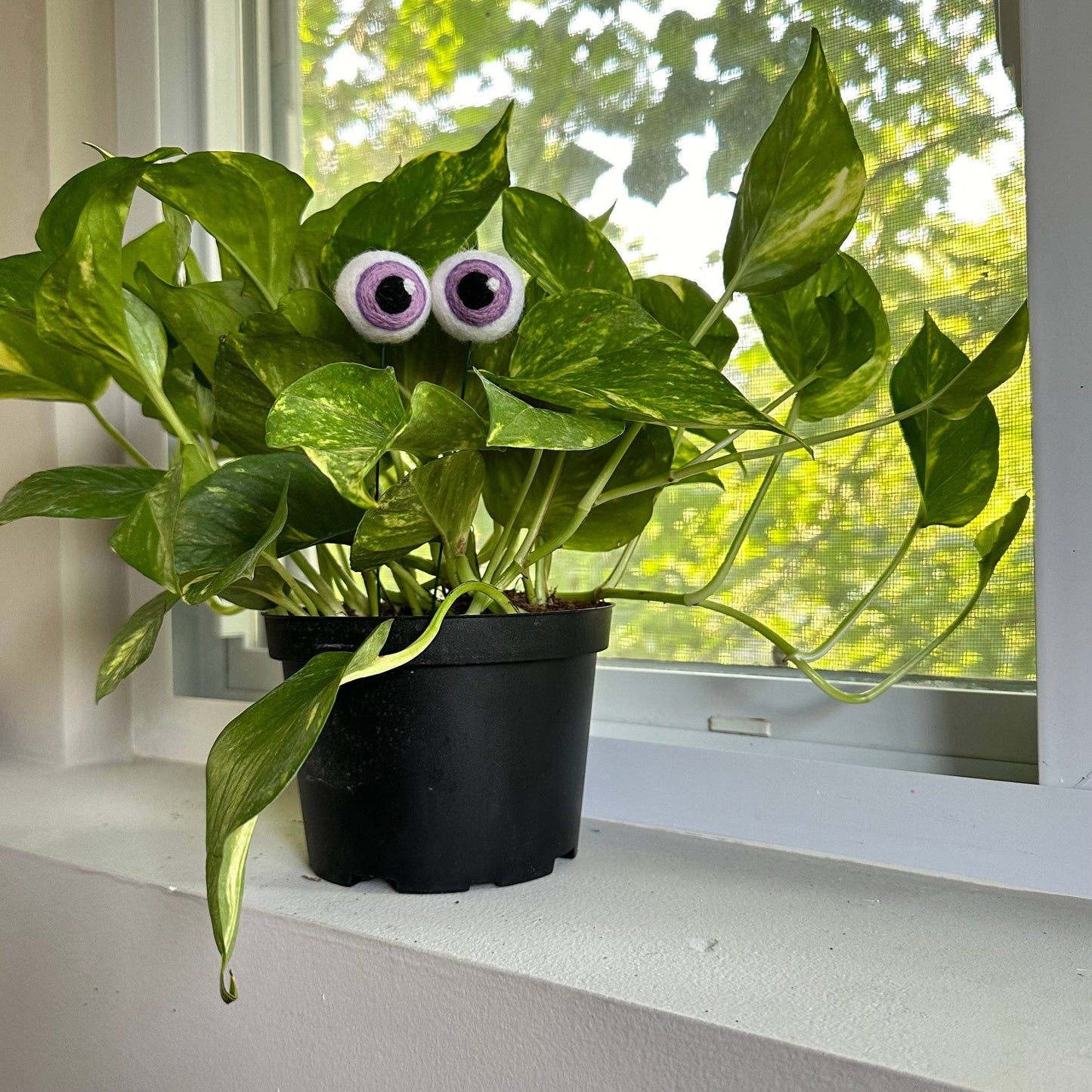 Plant Eyeballs-Hand Felted Wool Eyeballs