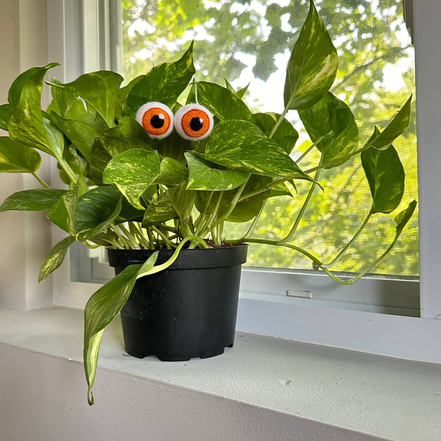 Plant Eyeballs-Hand Felted Wool Eyeballs